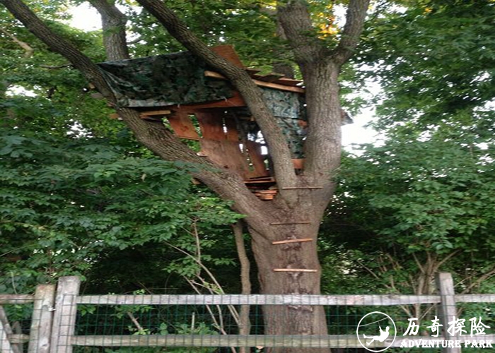树屋木屋器材 景区户外景观设备 历奇探险厂家定制树屋工程