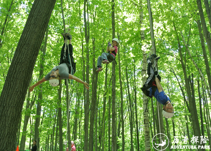 攀树器材 户外景区森林公园大型爬树工程设计安装 历奇探险场地施工建设厂家