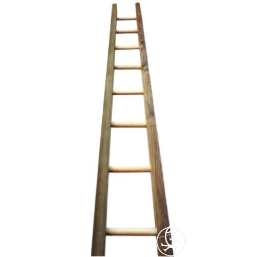AC05-apple-picker-s-ladder-450-m-1476-ft.jpg