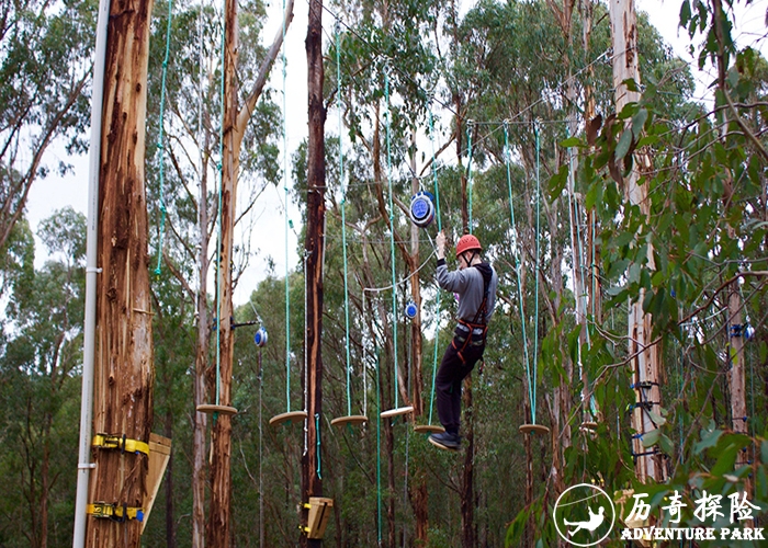 丛林穿梭 丛林穿梭器材生产公司 森林公园景区农庄研学 林攀空中漫步场地安装