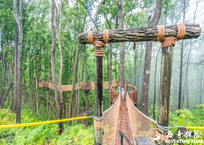 树冠漫步游乐工程设计施工 树顶步道器材价格 树梢漫步 树顶步道厂家安装
