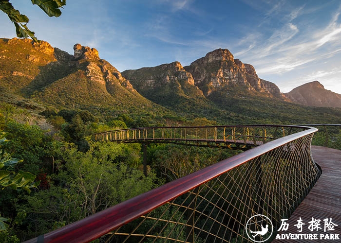 树顶步道设备厂家 树顶漫步项目设计生产制造树冠漫步 树冠步道定制