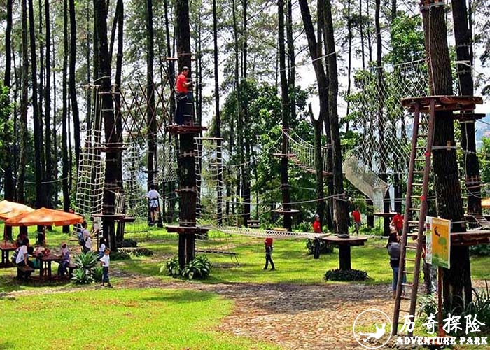 丛林穿梭工程 树上探险 丛林穿越 景区公园拓展基地拓展设备