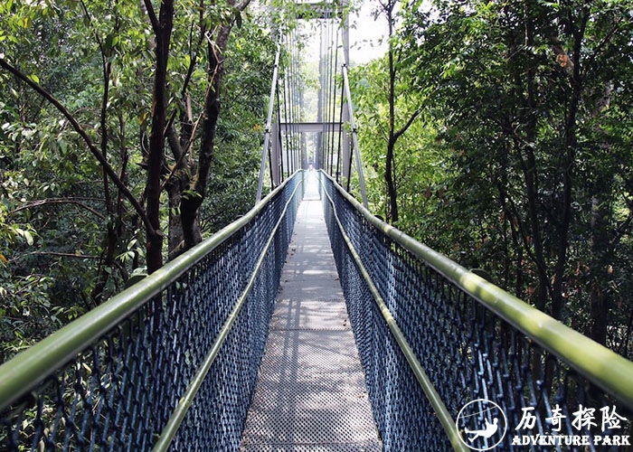 人行吊桥游乐工程设计生产制造 挑战桥 悬索桥 木板吊桥工程安装建设施工厂家
