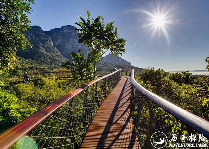树梢漫步树顶步道景区游艺设施工程安装建设施树顶吊桥工厂家定制