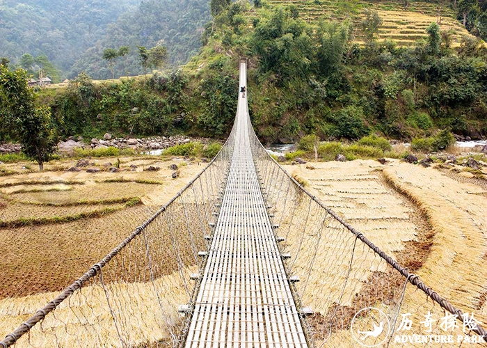 网红桥器械厂家景观吊桥 步步惊心吊桥 森林公园景区户外高空挑战桥项目安装建设施工游乐